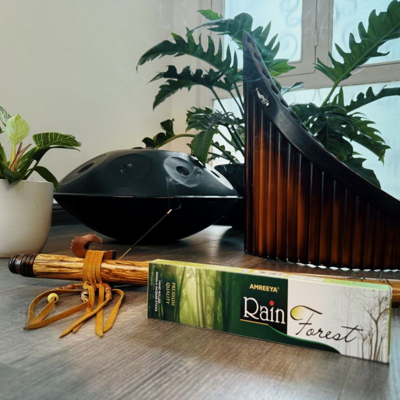 عود رین فارست: سفری به دل طبیعت