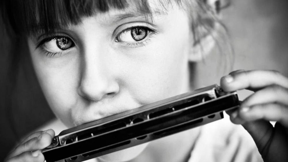 آموزش سازدهنی مناسب برای افراد مبتدی تا پیشرفته ( بدون محدودیت سنی )