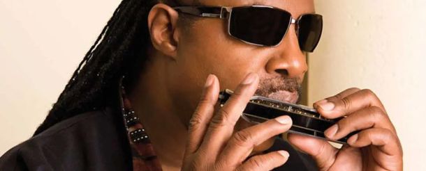 حقایقی جالب درباره سازدهنی که باید بدانید :