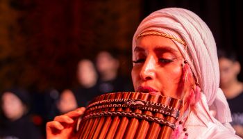 بهترین مارک پن فلوت