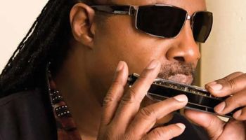 حقایقی جالب درباره سازدهنی که باید بدانید :